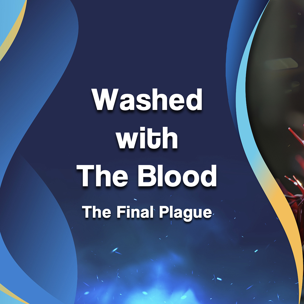 Blood